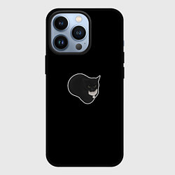 Чехол iPhone 13 Pro Кот Максвелл