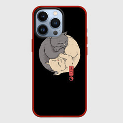 Чехол для iPhone 13 Pro Кошки - инь и ян, цвет: 3D-красный