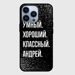 Чехол для iPhone 13 Pro Умный хороший классный: Андрей, цвет: 3D-черный