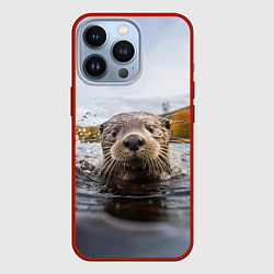 Чехол для iPhone 13 Pro Выдра смотрит из воды, цвет: 3D-красный