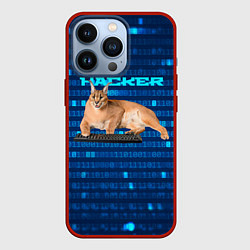 Чехол для iPhone 13 Pro Кот Шлепа хакер, цвет: 3D-красный