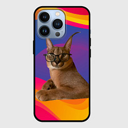 Чехол для iPhone 13 Pro Мем кот Шлепа, цвет: 3D-черный