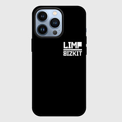 Чехол для iPhone 13 Pro Lim Bizkit logo, цвет: 3D-черный