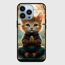 Чехол для iPhone 13 Pro Медитирующий кот цветной, цвет: 3D-черный