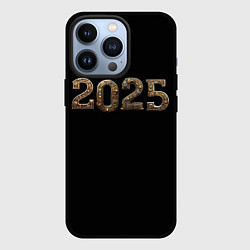 Чехол для iPhone 13 Pro Металическая надпись 2025 год в стиле стимпанк, цвет: 3D-черный