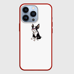 Чехол для iPhone 13 Pro Iggy, цвет: 3D-красный