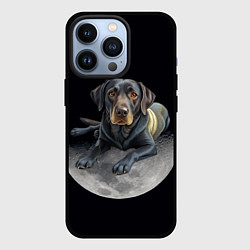 Чехол для iPhone 13 Pro Лабрадор и луна, цвет: 3D-черный