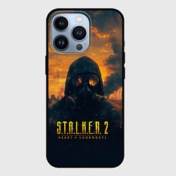 Чехол для iPhone 13 Pro Stalker загрязненный завод, цвет: 3D-черный