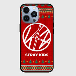 Чехол для iPhone 13 Pro Stray Kids new year, цвет: 3D-черный