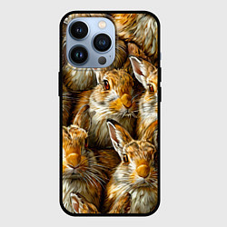 Чехол для iPhone 13 Pro Зайцы, цвет: 3D-черный