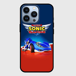 Чехол для iPhone 13 Pro Hedgehog - Sonic racing team, цвет: 3D-черный