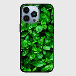 Чехол для iPhone 13 Pro Базилик зеленый, цвет: 3D-черный