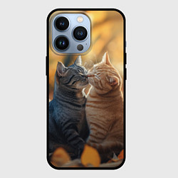 Чехол для iPhone 13 Pro Кот и кошка целуются, цвет: 3D-черный