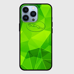 Чехол для iPhone 13 Pro Jaguar green poly, цвет: 3D-черный