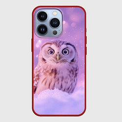 Чехол для iPhone 13 Pro Удивленная сова, цвет: 3D-красный
