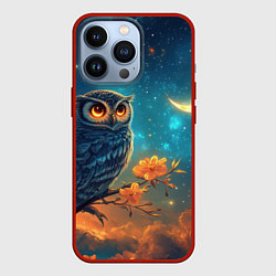 Чехол для iPhone 13 Pro Сова на фоне ночного неба, цвет: 3D-красный