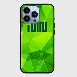 Чехол для iPhone 13 Pro Gidle green poly, цвет: 3D-черный