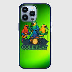 Чехол iPhone 13 Pro Coldplay группа из попугаев