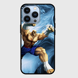 Чехол для iPhone 13 Pro Muay Thai Rage, цвет: 3D-черный