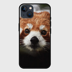 Чехол для iPhone 14 Малая панда, цвет: 3D-черный