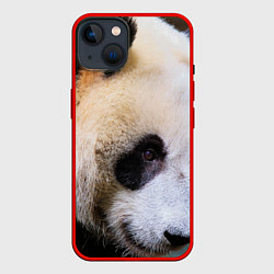 Чехол для iPhone 14 Загадочная панда, цвет: 3D-красный