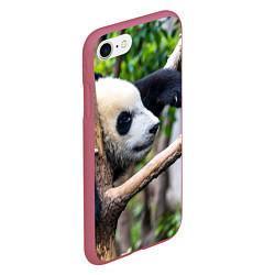 Чехол iPhone 7/8 матовый Бамбуковый медведь, цвет: 3D-малиновый — фото 2