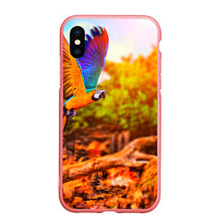 Чехол iPhone XS Max матовый Взмах попугая, цвет: 3D-баблгам