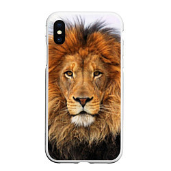 Чехол iPhone XS Max матовый Красавец лев, цвет: 3D-белый