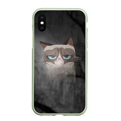 Чехол iPhone XS Max матовый Grumpy Cat, цвет: 3D-салатовый