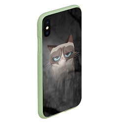 Чехол iPhone XS Max матовый Grumpy Cat, цвет: 3D-салатовый — фото 2