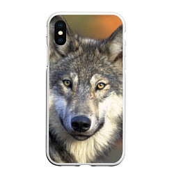 Чехол iPhone XS Max матовый Улыбка волка, цвет: 3D-белый