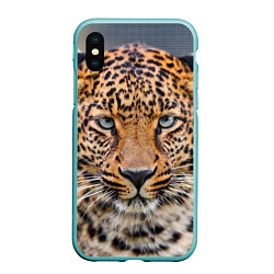 Чехол iPhone XS Max матовый Грустный леопард, цвет: 3D-мятный