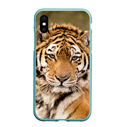 Чехол iPhone XS Max матовый Милый тигр, цвет: 3D-мятный