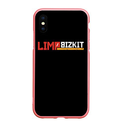 Чехол iPhone XS Max матовый Limp Bizkit, цвет: 3D-баблгам