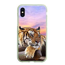 Чехол iPhone XS Max матовый Тигр на закате, цвет: 3D-салатовый