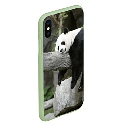 Чехол iPhone XS Max матовый Большая уставшая панда, цвет: 3D-салатовый — фото 2