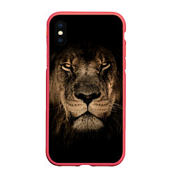 Чехол iPhone XS Max матовый Львиный взгляд, цвет: 3D-красный