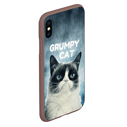 Чехол iPhone XS Max матовый Grumpy Cat, цвет: 3D-коричневый — фото 2