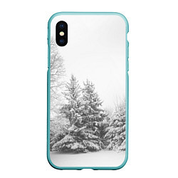 Чехол iPhone XS Max матовый Winter Storm