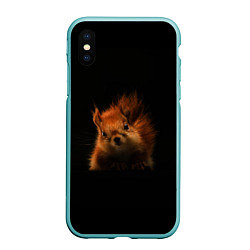 Чехол iPhone XS Max матовый Белка, цвет: 3D-мятный