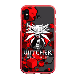 Чехол iPhone XS Max матовый The Witcher, цвет: 3D-красный