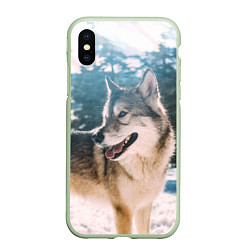 Чехол iPhone XS Max матовый Волк и снег