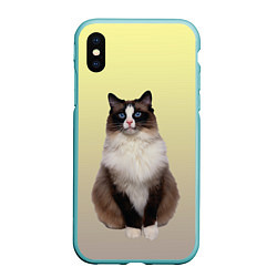 Чехол iPhone XS Max матовый Персидская пушистая кошка, цвет: 3D-мятный