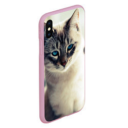 Чехол iPhone XS Max матовый Кот с Голубыми глазами, цвет: 3D-розовый — фото 2