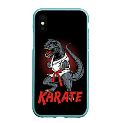 Чехол iPhone XS Max матовый KARATE T-REX, цвет: 3D-мятный