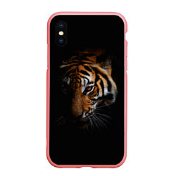 Чехол iPhone XS Max матовый Год тигра Голова, цвет: 3D-баблгам