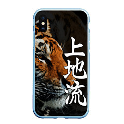 Чехол iPhone XS Max матовый Год тигра 2022 Взгляд, цвет: 3D-голубой