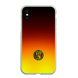 Чехол iPhone XS Max матовый Кобра Кай Cobra Kai Gadient, цвет: 3D-салатовый