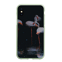 Чехол iPhone XS Max матовый Фламинго - вода, цвет: 3D-салатовый