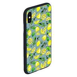 Чехол iPhone XS Max матовый Порезанные лимоны - паттерн, цвет: 3D-черный — фото 2